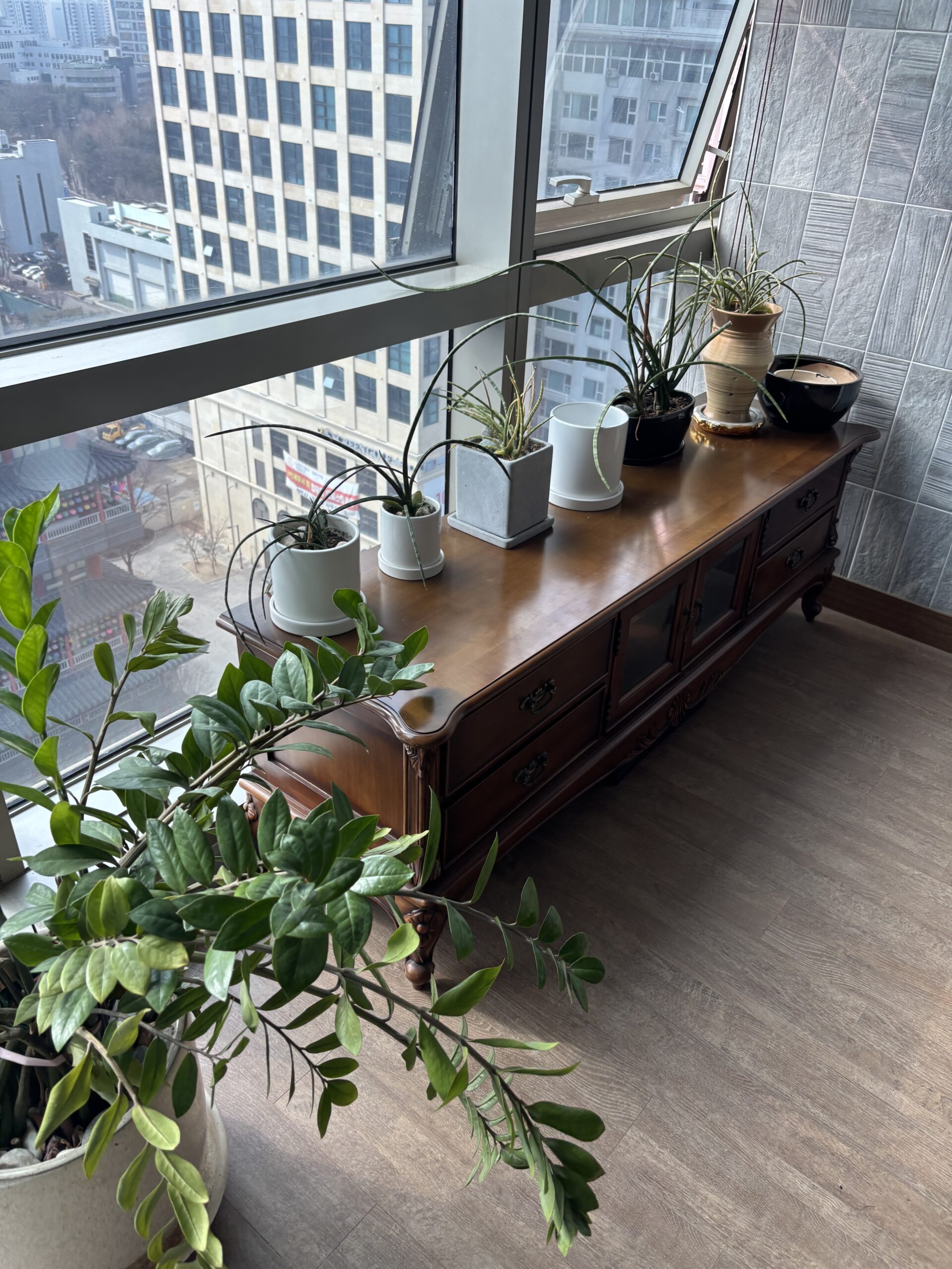 동작구 화분 수거 업체 비용 화분 버리는 방법