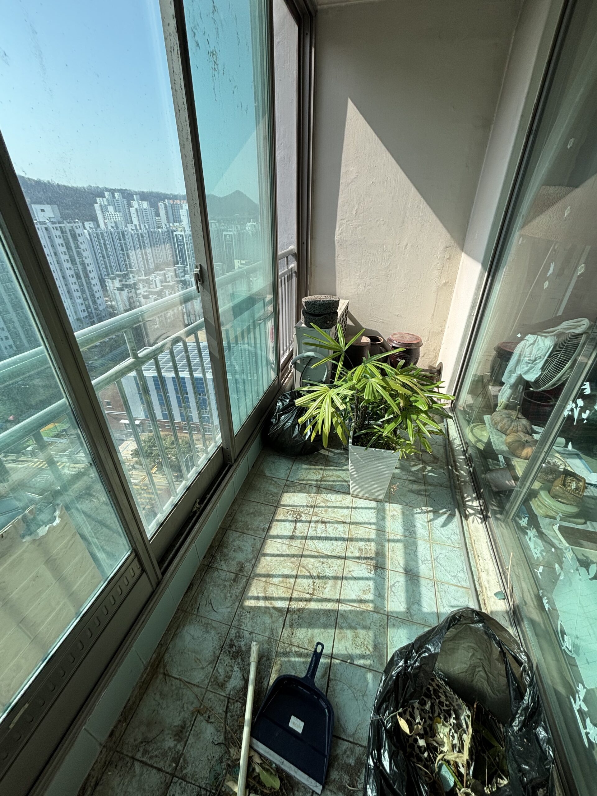 강남구 화분 수거 업체, 비용 총정리